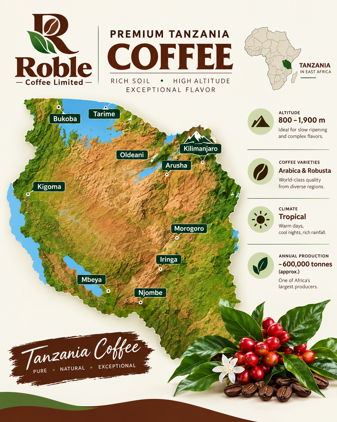 Map of Tanzania's coffee-growing regions — Bukoba, Tarime, Kilimanjaro, Arusha, Kigoma, Morogoro, Iringa, Mbeya and Njombe — with altitude, variety and climate notes