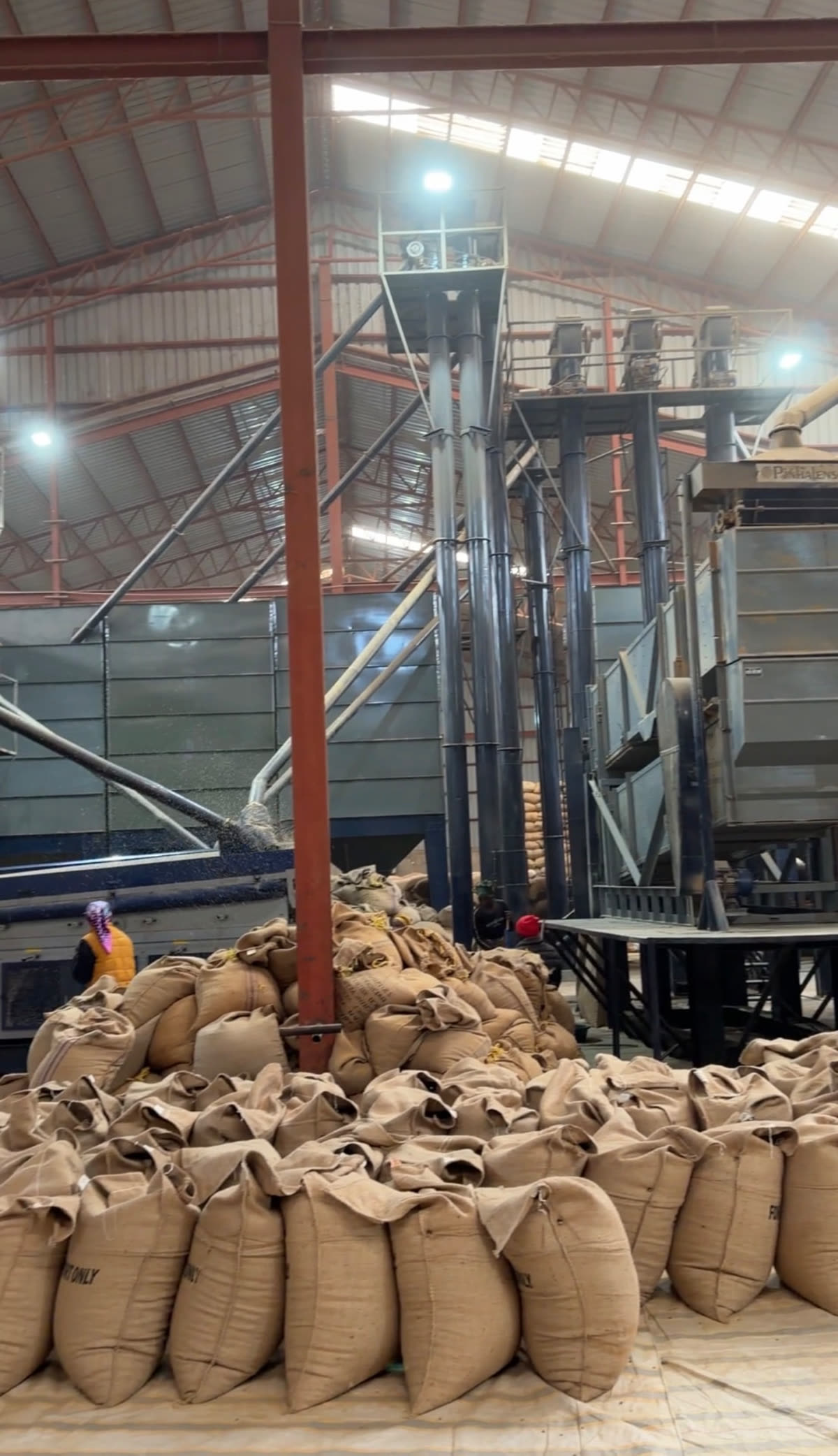 Dry mill machinery with jute sacks of coffee