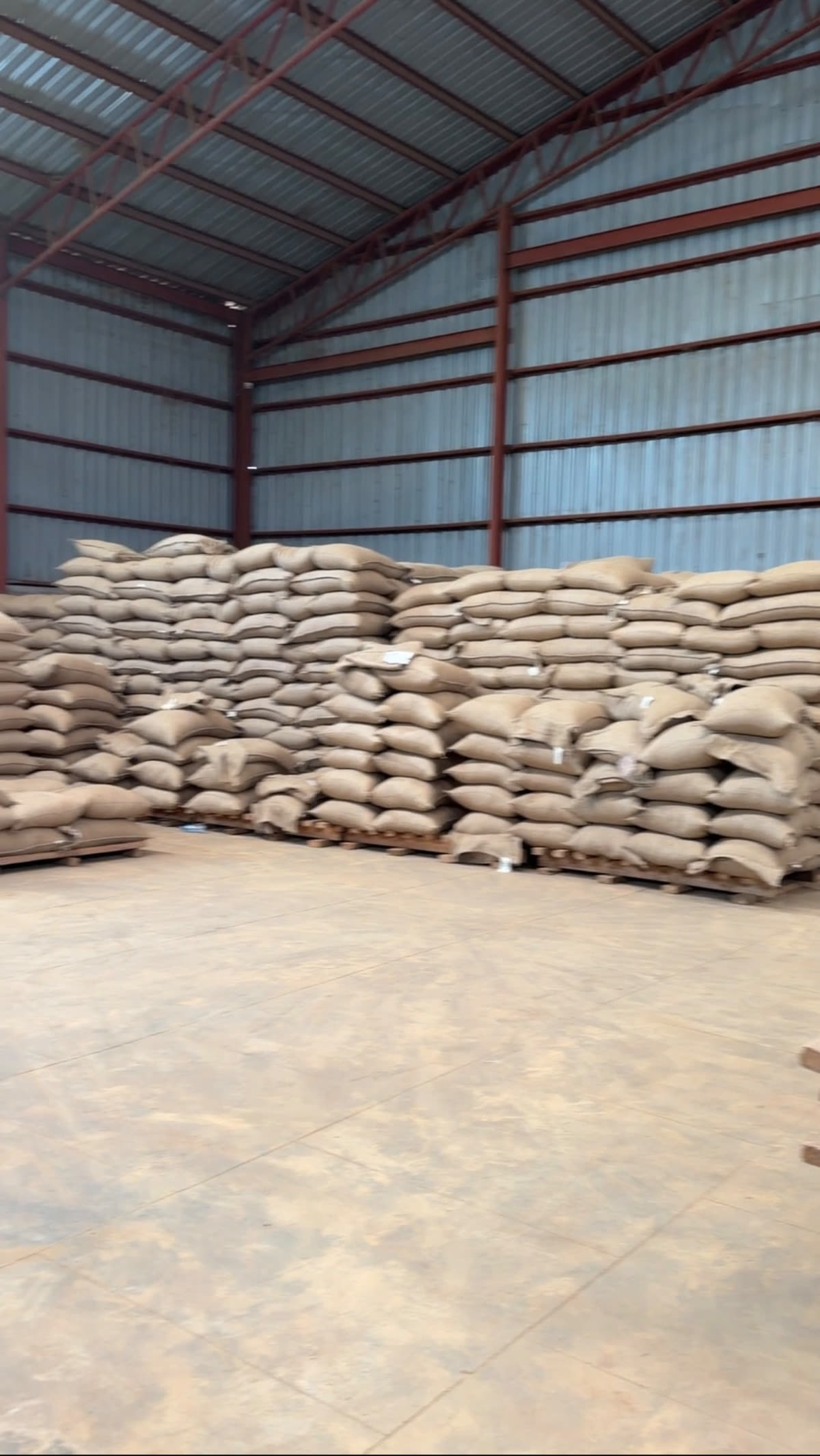 Warehouse with stacked export coffee sacks